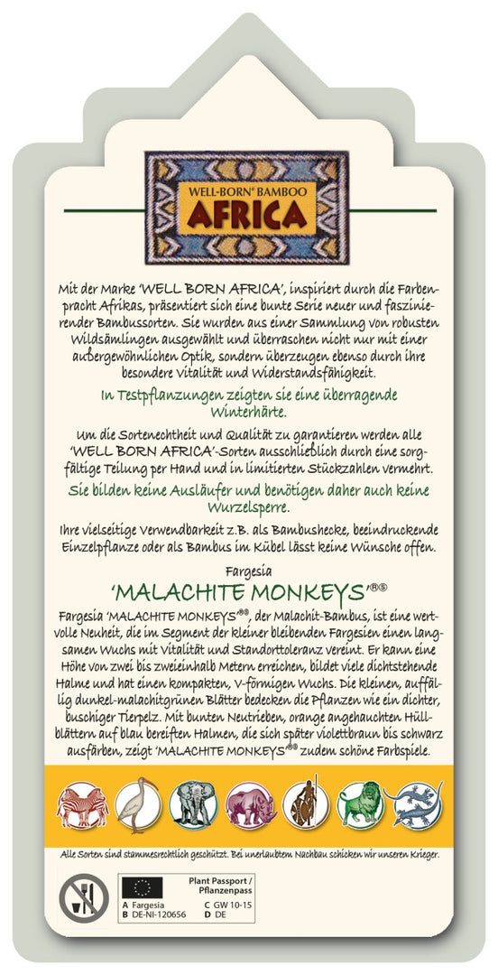 Fargesia Malachite Monkeys - Ansicht 4