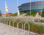 Bild in Galerie laden, Chinaschilf - Miscanthus sinensis Kleine Fontäne - Gräserwelten