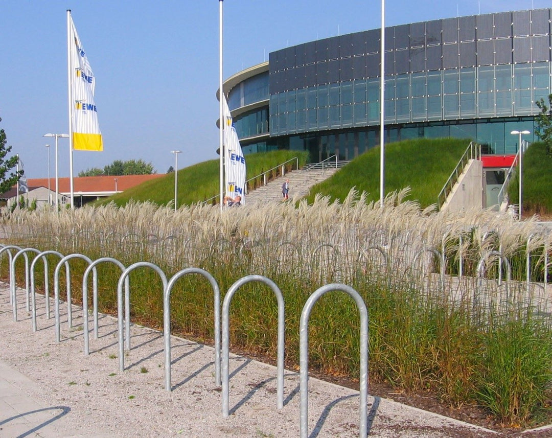 Chinaschilf - Miscanthus sinensis Kleine Fontäne - Ansicht 4